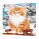 thumbnail image 1 of Kit de bricoje Pintura al por números Dibujo con pinceles Decoración sin marco para principiantes - 40 * 50cm - Gato color BLESIY Pintura por kits de los números, 1 of 8