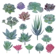 thumbnail image 1 of Inteprter Accesorios para fotos microsuculentas Plantas simuladas Multifuncional Artificial Realista Decoraciones de bonsái de buen aspecto SET0824 Flores artificiales SET0838 14 PAQUETE Inteprter HA060204-08B, 1 of 6