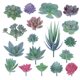 thumbnail image 1 of Bewildely Suculentas falsas, accesorios para fotos, plantas decorativas simuladas, bonsái, decoraciones para el hogar, patios, césped, maceta, SET0836 Flores artificiales SET0838 14 PAQUETE Bewildely HA060204-08B, 1 of 6