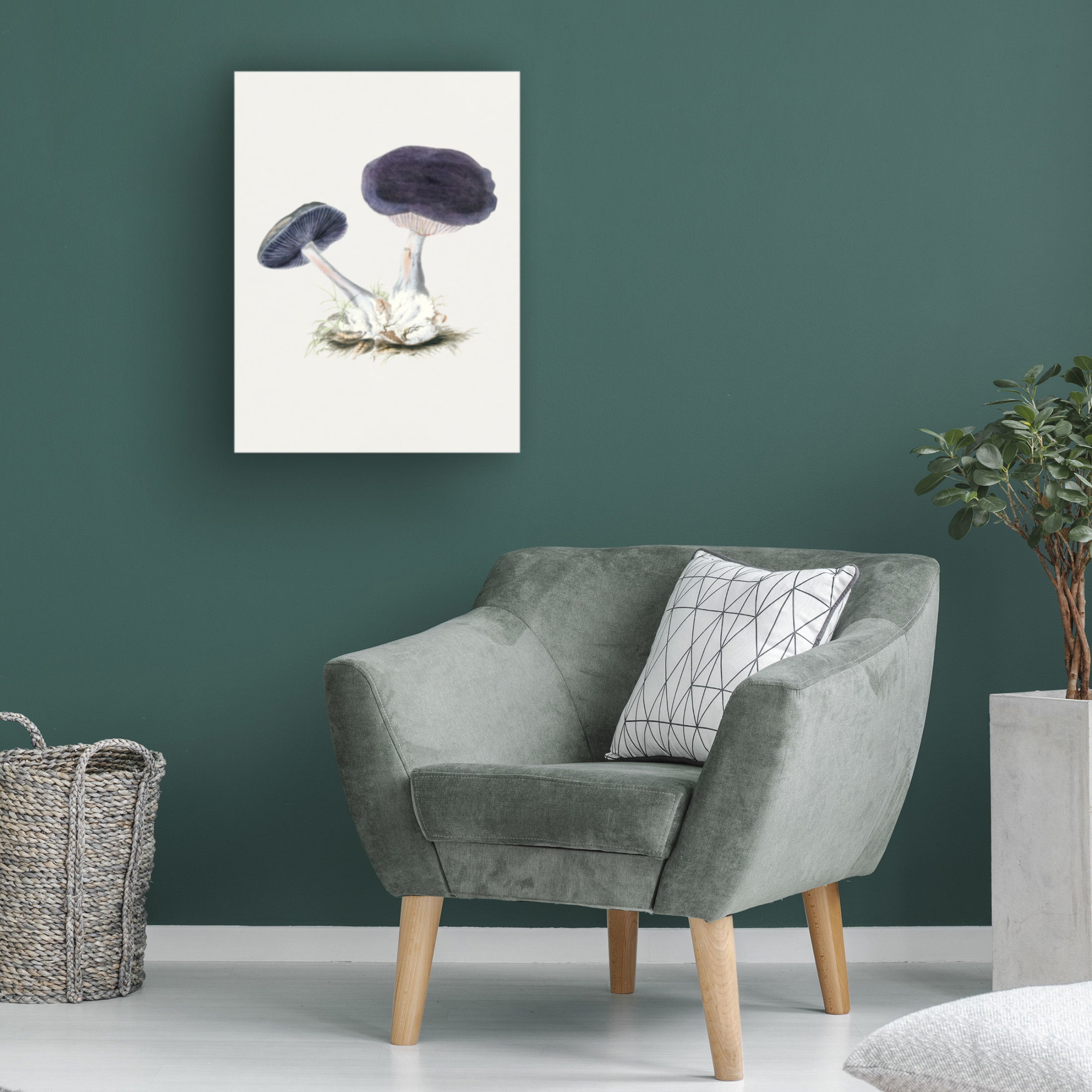 Trademark Fine Art Pictufy  Vintage Violet Webcap Mushroom Canvas Wall Art