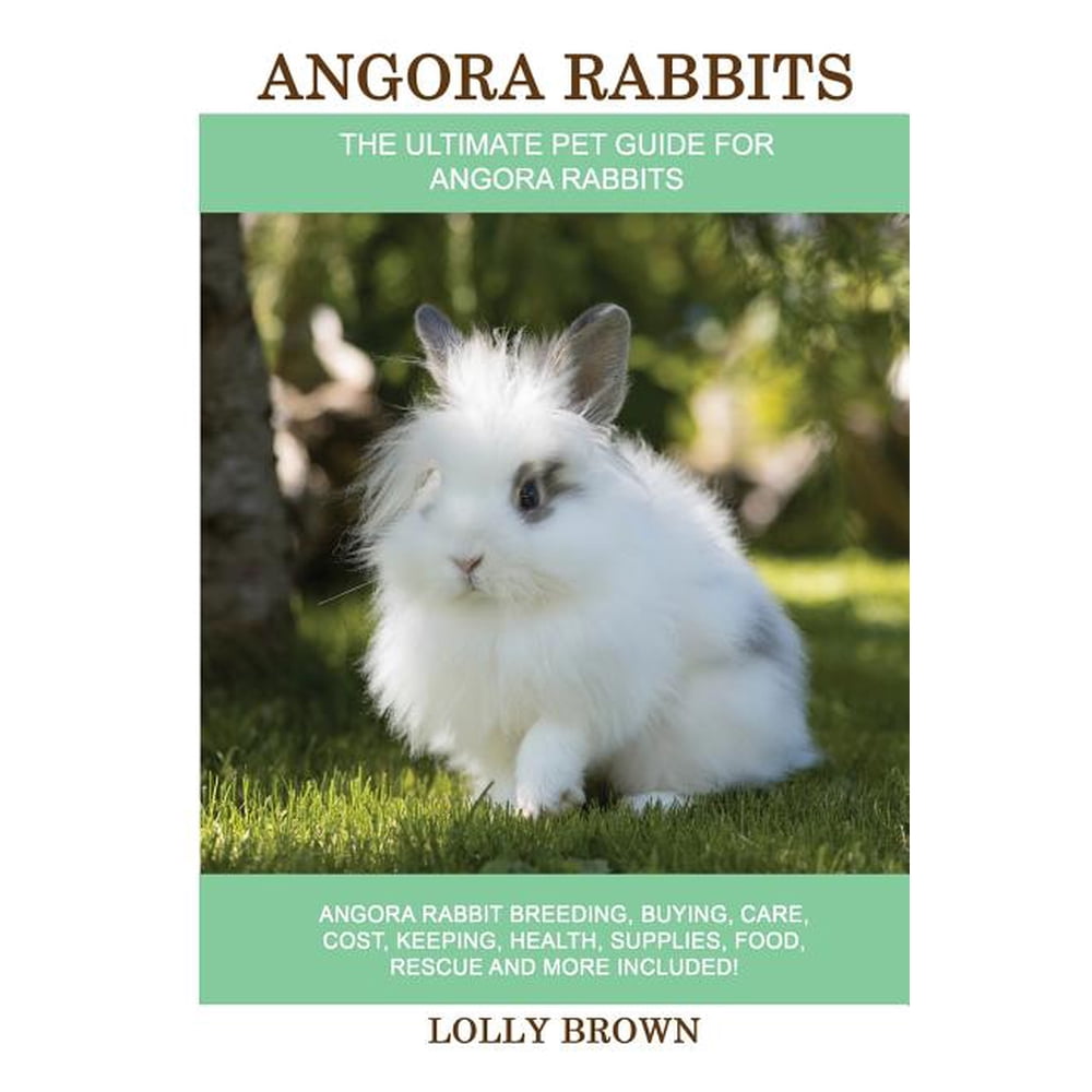 Angora Rabbits Angora Rabbit Breeding, Buying, Care, Cost, Keeping