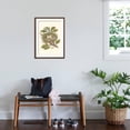 thumbnail image 3 of Art.com Kingbird Nest and Eggs Art Print, Brown Frame Wall Art, 21" x 29", 3 of 5