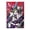Pattern-4, variant on Anime Jigsaw Puzzles 29.5 x 19.5 In, JoJo's Bizarre Adventure Jigsaw Puzzles 1000 Pcs Adult Gaming Funny Jigsaw Puzzles