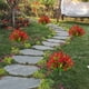 thumbnail image 3 of Decoración de jardín de eucalipto púrpura modelo B color pimienta roja A11319 tamaño pequeño, 3 of 7