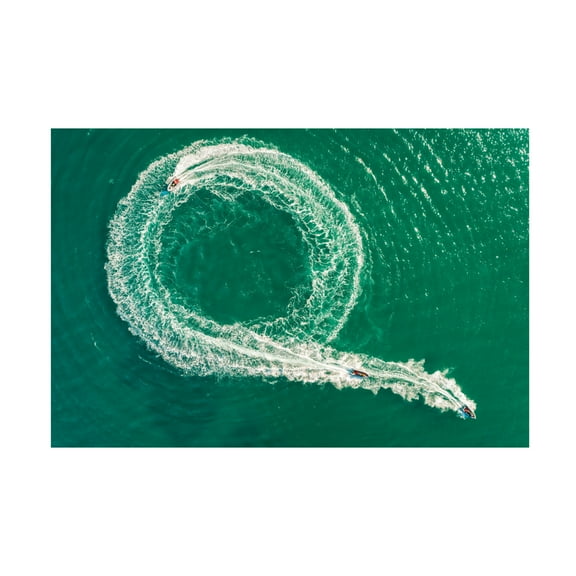 Trademark Fine Art Ido Meirovich Follow The Leader Canvas Wall Art