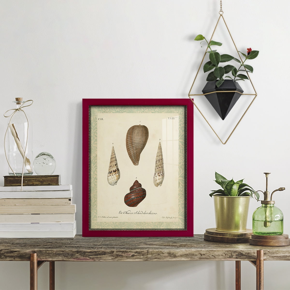 Bookplate Shells V - Framed Print w/glass - Cherry Red