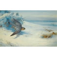 thumbnail image 2 of Archibald Thorburn 14x11 Gold Ornate Wood Frame and Double Matted Museum Art Print Titled - Merlin and Larks (1923), 2 of 4