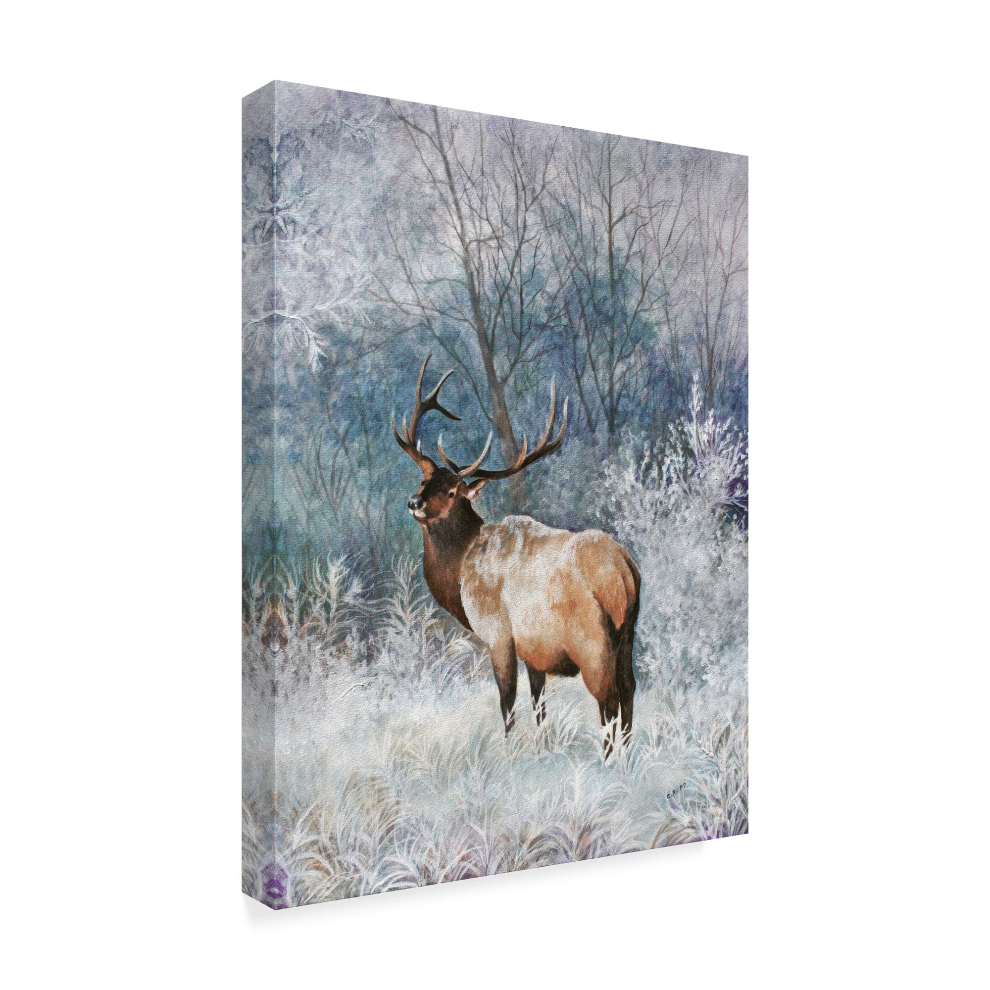Trademark Fine Art 'Frosty Morning Elk' Canvas Art by Carol J Rupp
