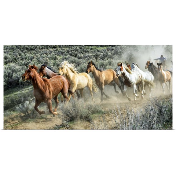 Great BIG Canvas | Rolled PH Burchett Poster Print entitled Stampede I