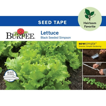 Burpee Black Seeded Simpson Lettuce Seed Tape - Non-GMO, Heirloom Vegetable Gardening Seeds, 22.5ft Tape, 230 Seeds, 1-Pack
