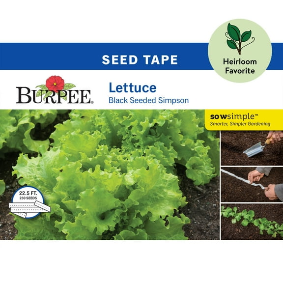 Burpee Black Seeded Simpson Lettuce Seed Tape - Non-GMO, Heirloom Vegetable Gardening Seeds, 22.5ft Tape, 230 Seeds, 1-Pack