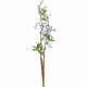 thumbnail image 2 of Gwong Decoración hogareña 1pc Fake Blueberry con hojas Fruta Artificial Flor Bonsai Home Garden Decor Gwong 21051781, 2 of 7