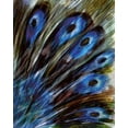 thumbnail image 2 of Harrington, Danielle 26x32 White Modern Wood Framed Museum Art Print Titled - Feather I, 2 of 4