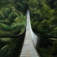 thumbnail image 2 of Atelier B Art Studio 12x12 Black Ornate Wood Framed with Double Matting Museum Art Print Titled - SUSPENDED BRIDGE IN THE FOREST, 2 of 4