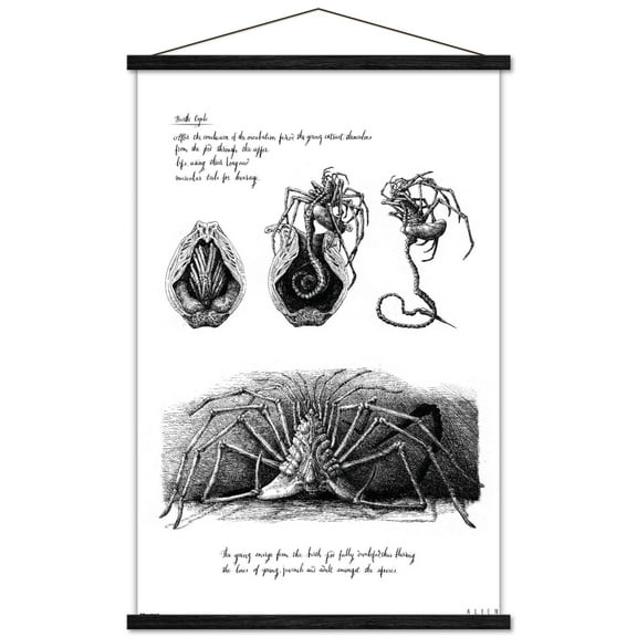 Alien: Covenant - David's Drawing Wall Poster with Magnetic Frame, 22.375" x 34"