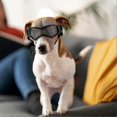 thumbnail image 5 of Dog Goggles Medium Breed, Dog Sunglasses Small Breed Dog Eye Sun Light Protection, Uv Protection Goggles For Dog With Adjustable Straps, 5 of 5