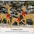 thumbnail image 2 of 3pcs Lighted Christmas Deer Family Set Outdoor Yard Decoration, 2 of 4