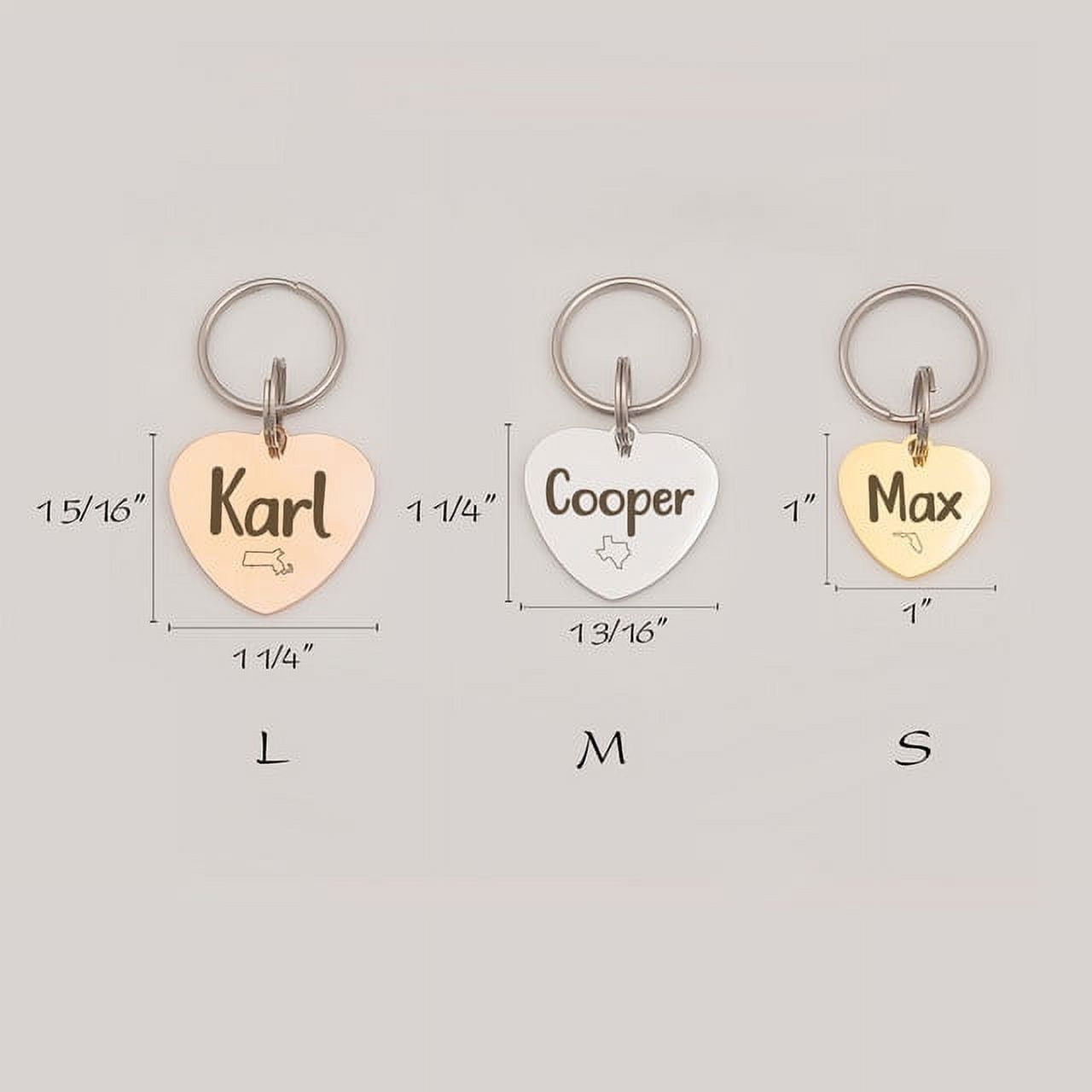 Anavia Stainless Steel Double Sided Heart Name and State Icon Engraved Dog & Cat ID Tag, Multi-color, L