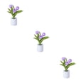 thumbnail image 2 of Monstrate Ambiente tranquilo y relajante con ingeniosa lámpara de flores Luz nocturna ajustable Big 3 Head Purp Type1 NO1, 2 of 6