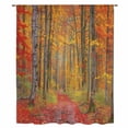 thumbnail image 2 of Red Orange Forest Fall Sheer Curtains 72 Inches Long, Thanksgiving Tree Maple Leaf Light Filering Curtains, Breathable Simi Curtain Privacy Drapes for Living Room Bedroom Lightweight Window Treatment, 2 of 9