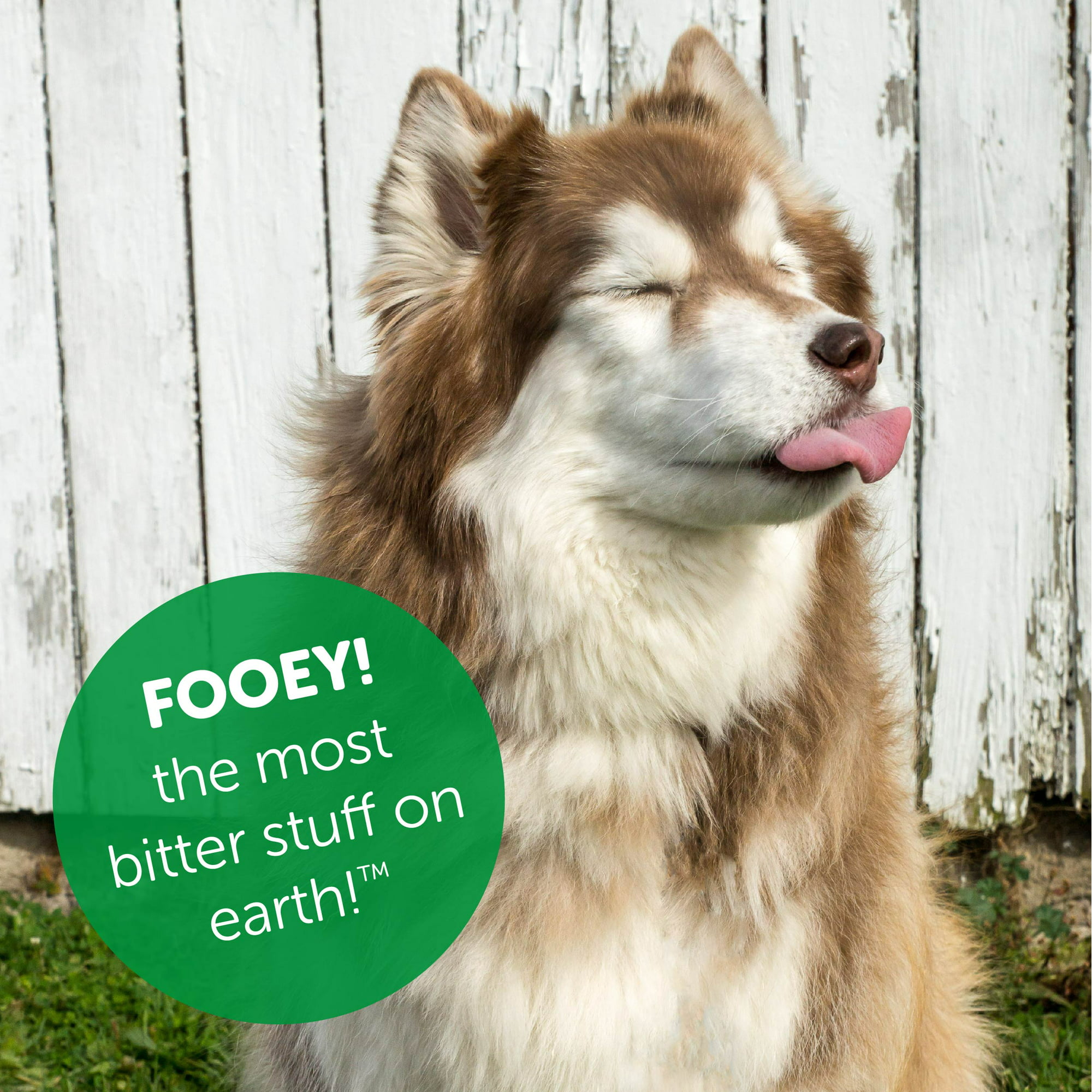 Fooey! Ultra-Bitter Training Aid Spray – Chewing, Biting, Licking Deterrent for Pets, 8 oz.