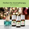 thumbnail image 3 of Winter Essential Oil Set of 6 Fragrance Oils - Christmas Wreath Pine, Vanilla, Peppermint, Cinnamon, Sugar Cookie, and Gingerbread by Good Essential Oils - 5ml Bottles, 3 of 6