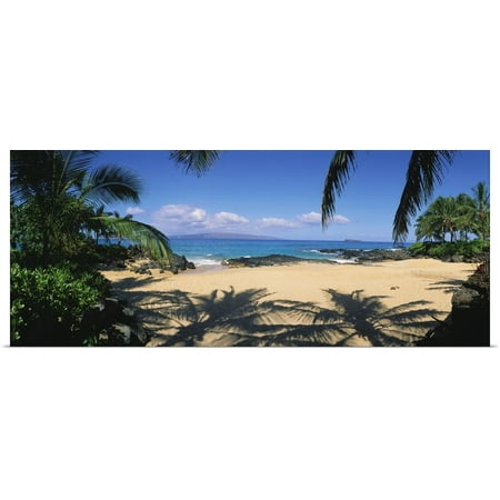 Great BIG Canvas | Rolled Ron Dahlquist Poster Print entitled Hawaii, Maui, Makena; Small Secluded Beach Palm Shadows On (Best Beaches Big Island Hawaii)