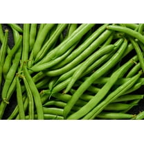 Seychelles Vining French Green Bean Haricots Verts Premium Seeds for Planting Packet