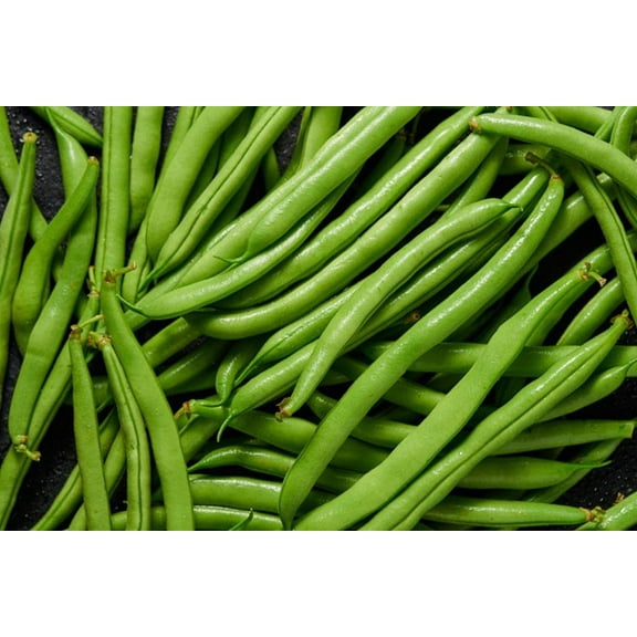 Seychelles Vining French Green Bean Haricots Verts Premium Seeds for Planting Packet