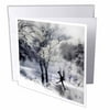 3dRose Winter Figure Skating on a Frozen Lake, Greeting Cards, 6 x 6 inches, set of 12
