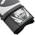 thumbnail image 2 of Venum Challenger 2.0 Boxing Gloves, 2 of 8