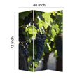 thumbnail image 5 of Grape Vine Print Foldable Canvas Screen with 3 Panels in Multicolor, 5 of 5