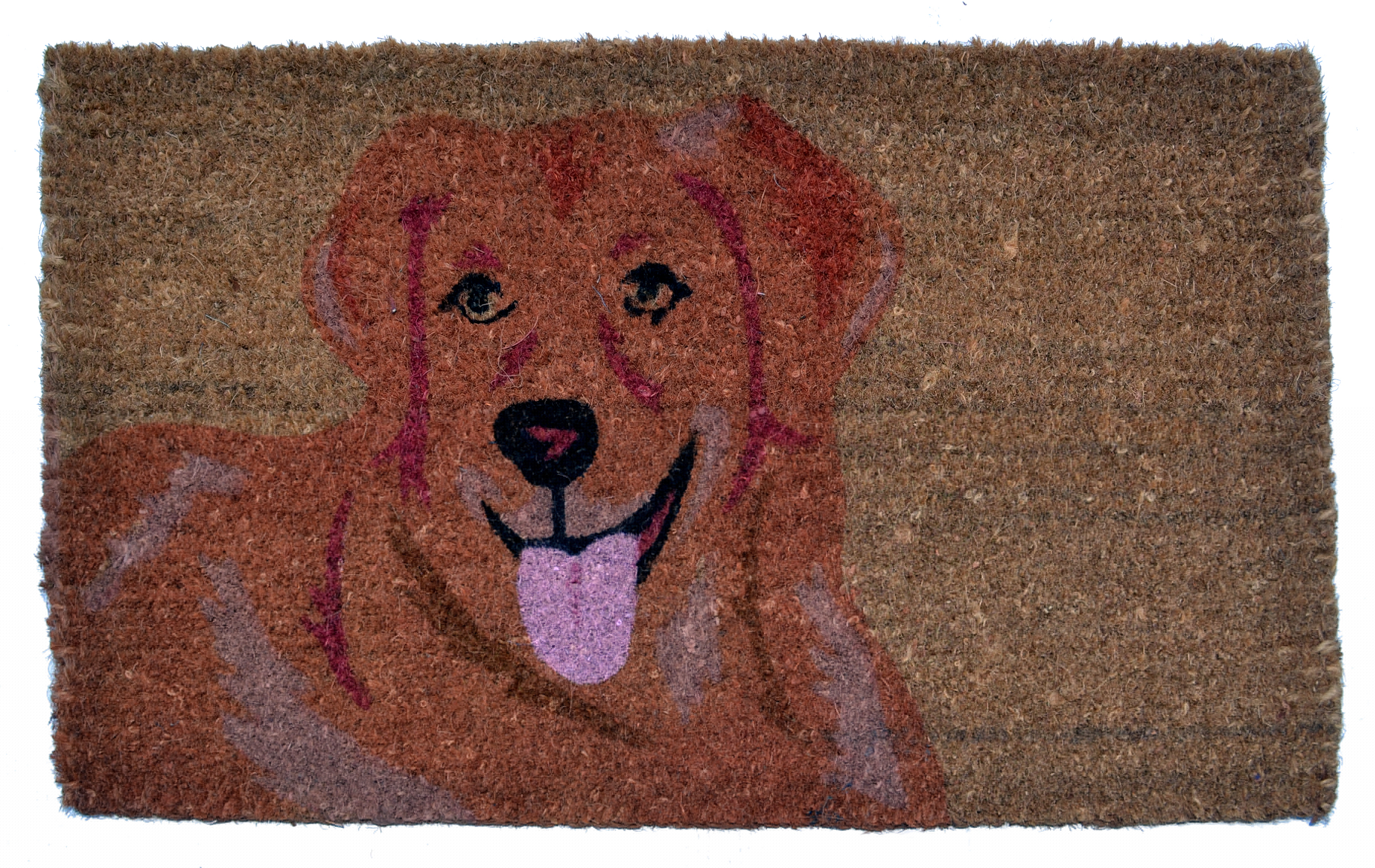 thumbnail image 1 of Golden Retriever multicolor -343BCM Imports Decor 343BCM, 1 of 2