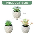 thumbnail image 2 of 3pcs simulation succulent potted plant creative decoration pineapple ceramic bonsai interior decoration artificial green plants - type:style4;, 2 of 5