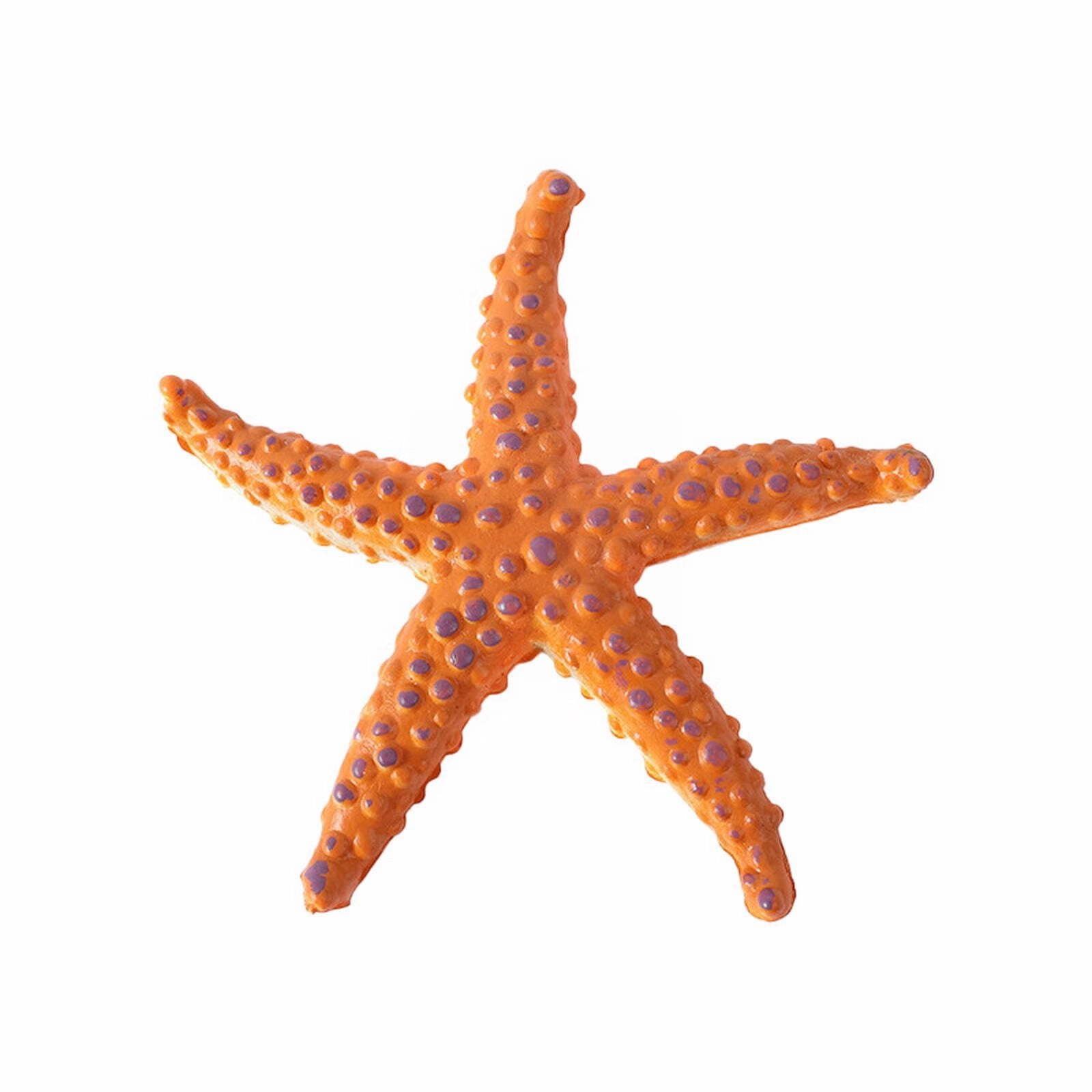 Grilled Starfish (Terra Americana)