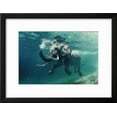 thumbnail image 2 of Swimming Elephant Underwater African Elephant in Ocean with Mirrors and Ripples at Water Surface, Animals Framed Art Print Wall Art by Willyam Bradberry Sold by Art.Com, 2 of 5