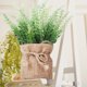 thumbnail image 5 of Macetas para Plantas Plantas Artificiales en Macetas de Flores, Mini Macetas de Flores, Plantas de Tela, Decoración Del Hogar, Fiestas, Bodas, Jardines, Mesas de Comedor, Oficinas, Decoración Del Pati, 5 of 6