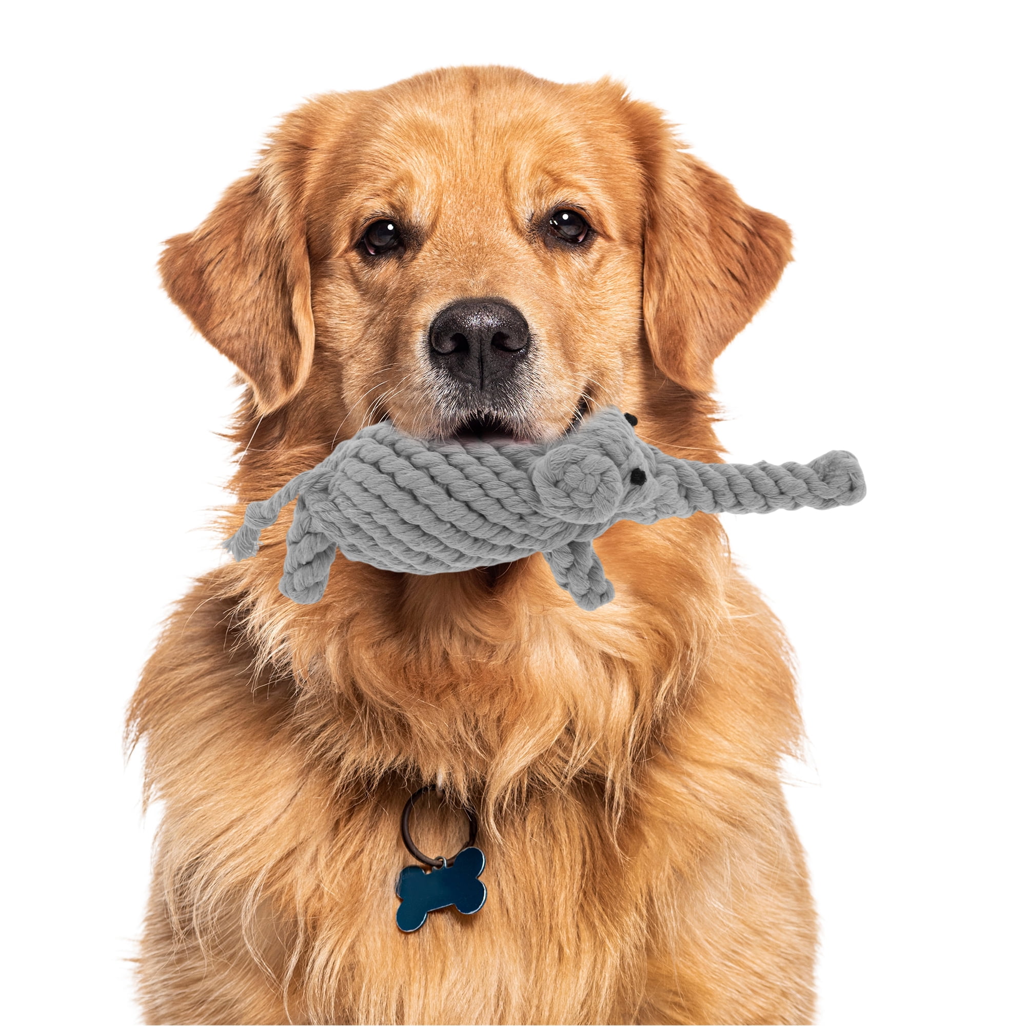 Unique Bargains Puppy Teethings Chewer Bear Shape Dog Chew Rope Braided Cotton Teeth Cleaning Rope Assorted Color Elephant Shape Gray 2 Pcs