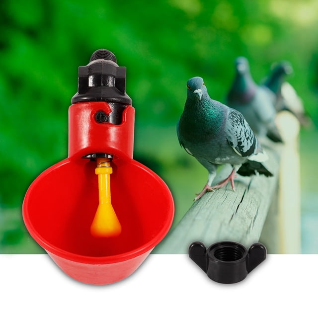 Tazón para Beber Pollo 5 Piezas Tazas para Beber Agua de Aves de Corral Taza para Beber Pollo Pájaro de Pollo Bebederos Automáticos Tazón de Agua de Pollo Extraíble con ANGGREK Otros