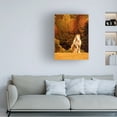 thumbnail image 3 of PHBurchett 'Horse Motion IX' Canvas Art, 3 of 4