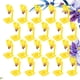 thumbnail image 3 of 20 bebederos para pollos., 3 of 3