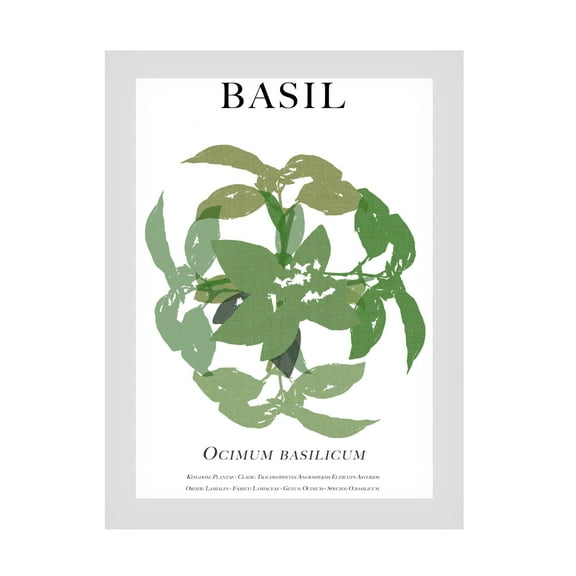 Trademark Fine Art Cartissi Basil Canvas Wall Art