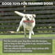 thumbnail image 4 of 2pcs Dog Float Bumper Toy, Treat Dispensing Puzzle Toys, Training Dummy Retrieving Bumpers Summer Pool Toy Tug Game Toys, 4 of 5
