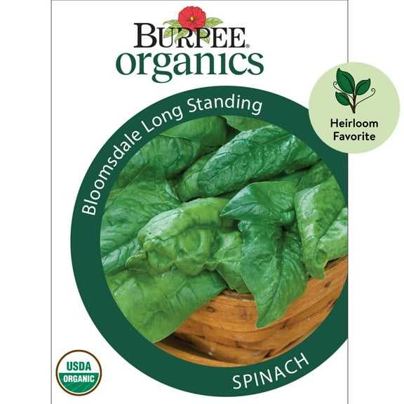 Burpee Organic Bloomsdale Long Standing Spinach Vegetable Seed, 1-Pack