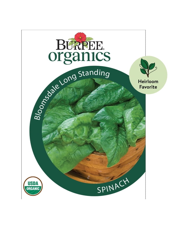 Spinach Seeds in Seed Gardening