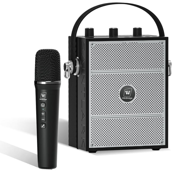 HW HAOWORKS Amplificador de Voz Portátil de 40W con Micrófono, Altavoz Bluetooth con Micrófono, Sistema PA con Efectos de Eco y Sonido, Karaoke Inalámbrico para Cantar-S98 Pro