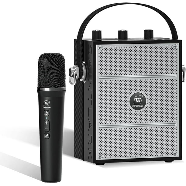 HW HAOWORKS Amplificador de Voz Portátil de 40W con Micrófono, Altavoz Bluetooth con Micrófono, Sistema PA con Efectos de Eco y Sonido, Karaoke Inalámbrico para Cantar-S98 Pro