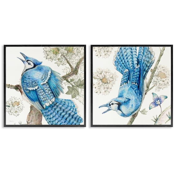 Stupell Industries Blue Jays with White Blossoms Animals Painting Black Framed Art Print Wall Art, 12 x 12, Set of 2