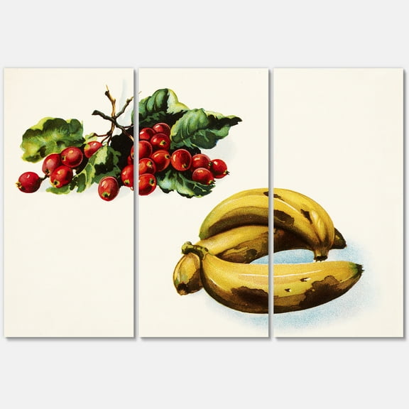 Designart ' Red Berries and Banana ' Farmhouse Canvas Wall Art Print