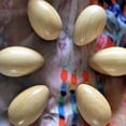 thumbnail image 4 of Juego de 48 Piezas de Percusión de Madera Musical Egg Maracas Egg Shakers Instrumento Musical Toy para Niños, 4 of 5